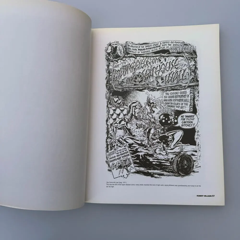 Hysteria in Remission The Comix and Drawings of Robert Williams 2002 book